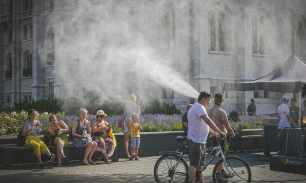 $360,000 Grant to Tackle Buffalo Urban Heat
