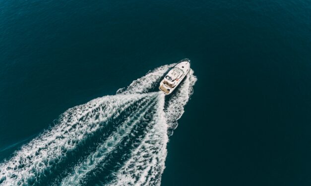 Autonomous and Drone Boats