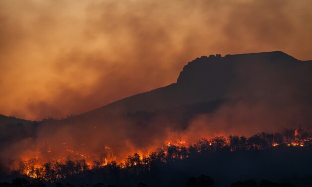 Climate Strategy Rollbacks