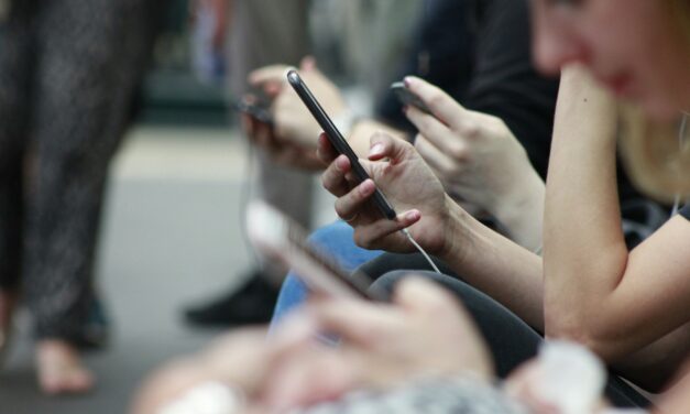 Global Digital Platform Fragmentation