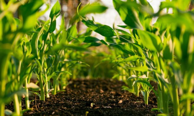 Sustainable Agriculture Pipeline