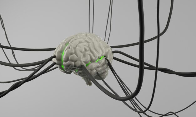 Brain-Computer Interfaces Advance Neuro-Rehabilitation