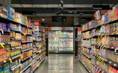 SNAP Eligibility Automation Impacts WNY