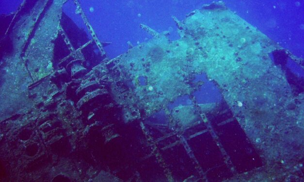 Vessel Repurposing for Freshwater Habitats