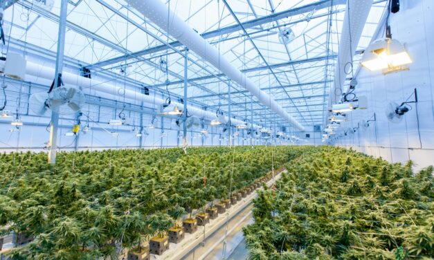 Statewide Cannabis Education Expansion
