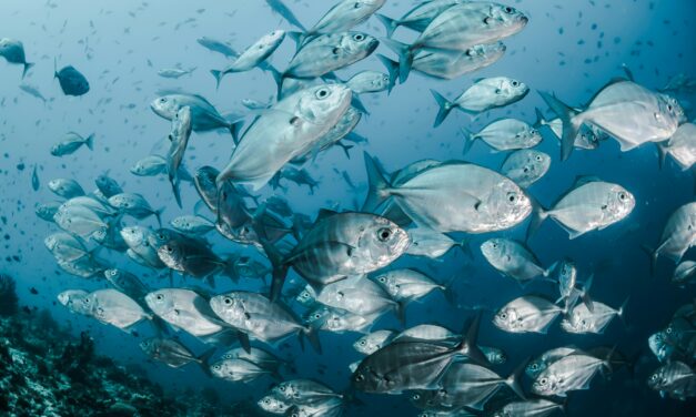 Artificial Light Impacts Freshwater Ecosystems
